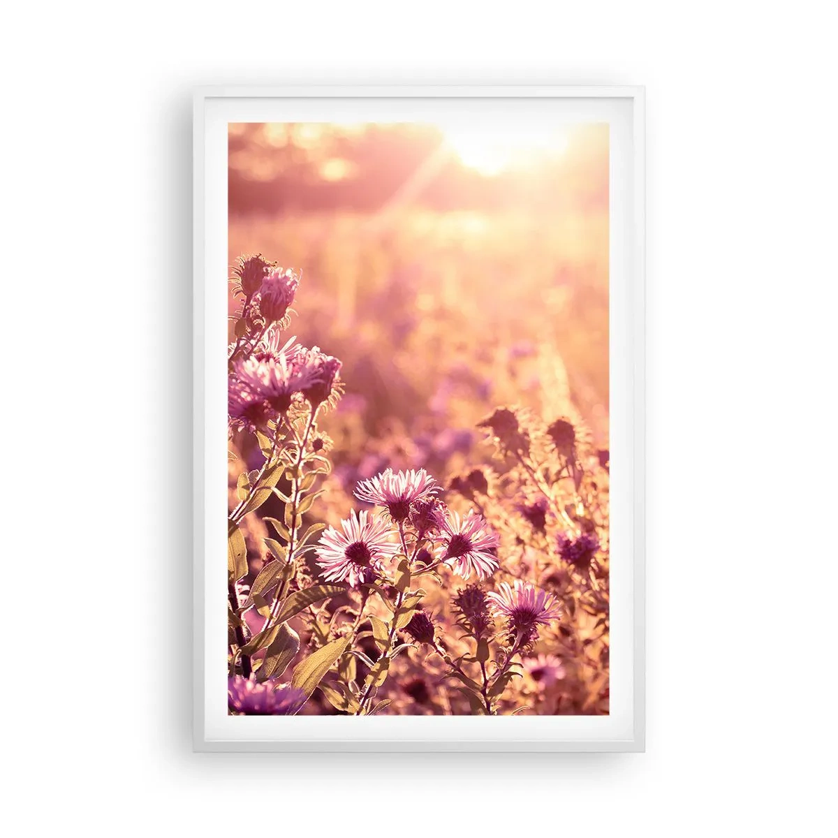 Plakat i hvid ramme - Før sommeren er forbi - 61x91 cm