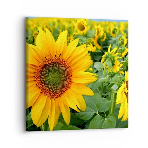 Lærredstryk - Billede på lærred - Hundredvis af sole blussede op - 30x30 cm