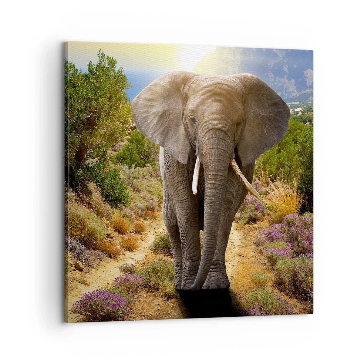 Lærredstryk - Billede på lærred - Sådan så Eden ud - 60x60 cm