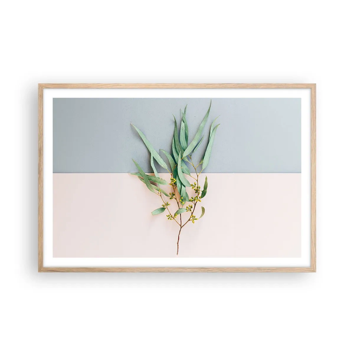 Plakat i ramme af lyst egetræ - Pastelfarvernes subtilitet - 91x61 cm