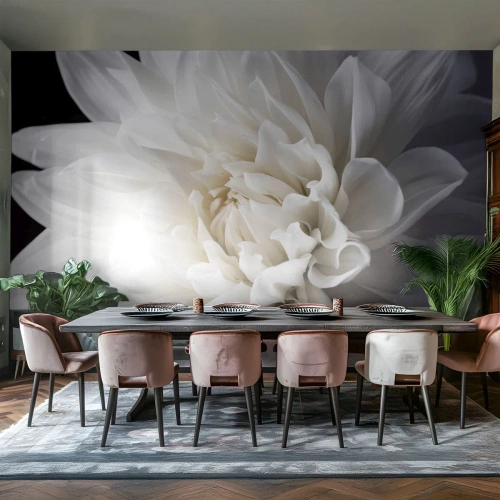 Fototapet Standard Eco - Nærbillede af en sart hvid blomst - 100x70cm - Morgenbrud - Moderne vægdekoration til stue og soveværelse ARTTOR