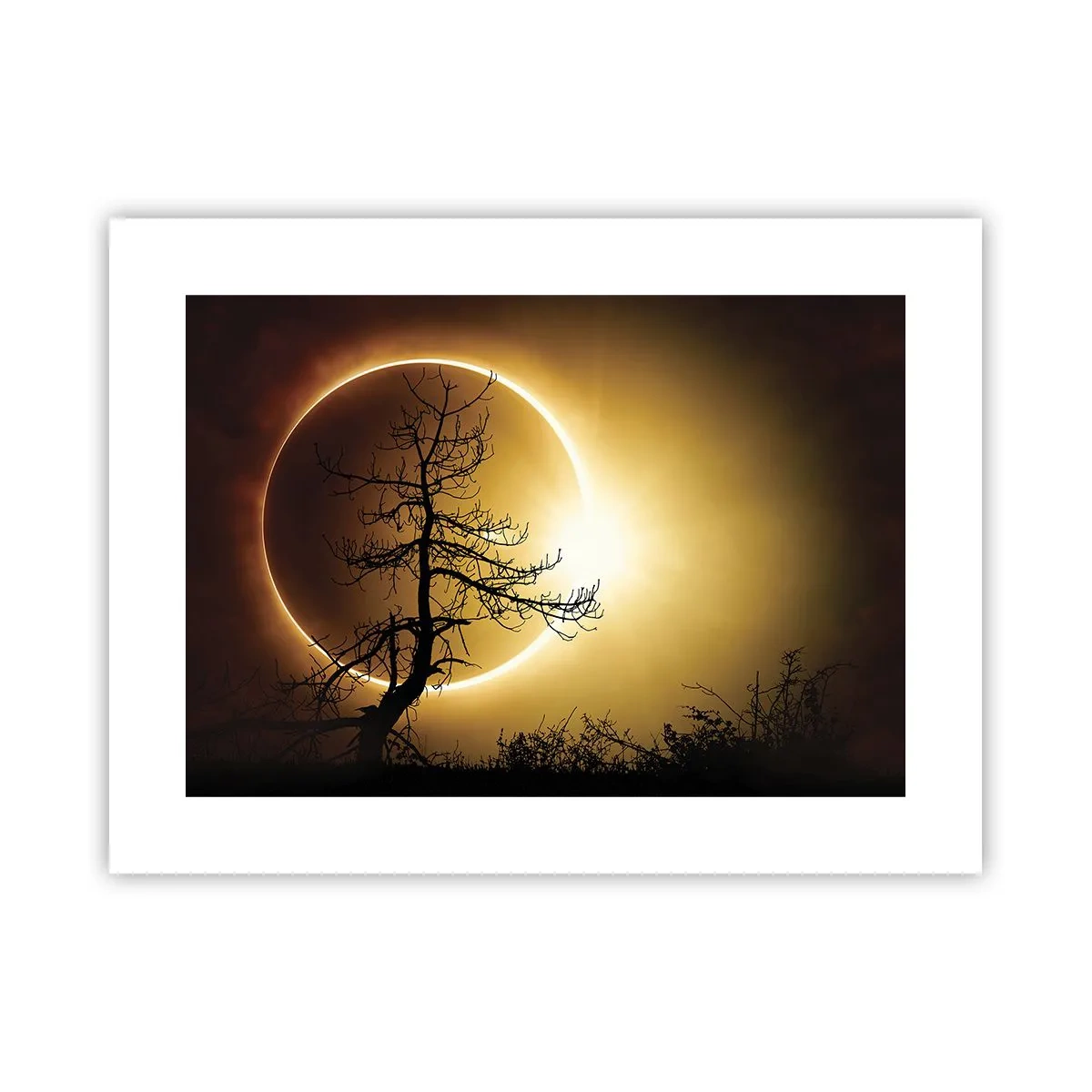 Plakat - Total formørkelse - 40x30 cm