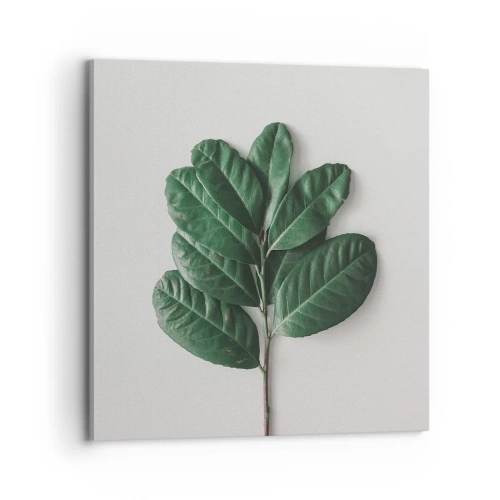 Lærredstryk - Billede på lærred - Tegning af selve naturen - 70x70 cm