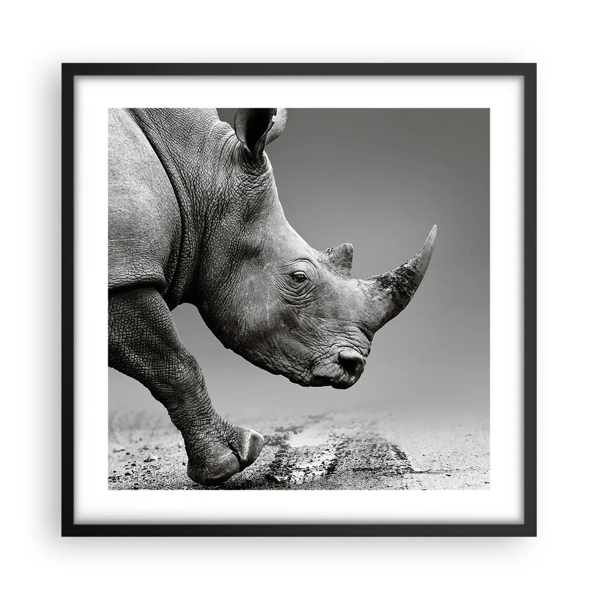 Plakat i sort ramme - En ustoppeli - 50x50 cm