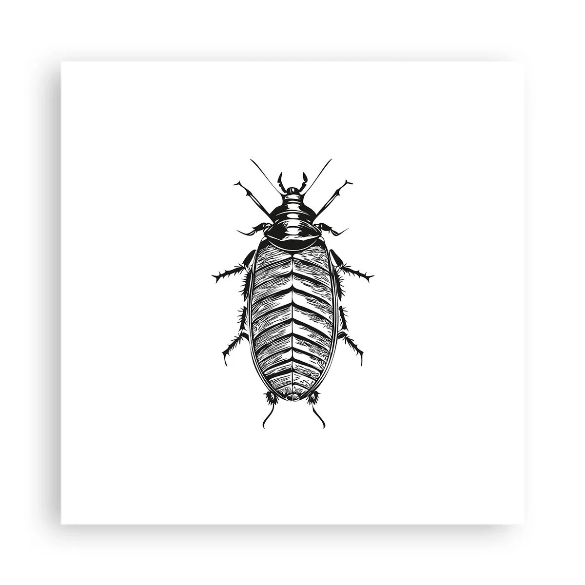 Plakat - Sikke et eksemplar! - 40x40 cm