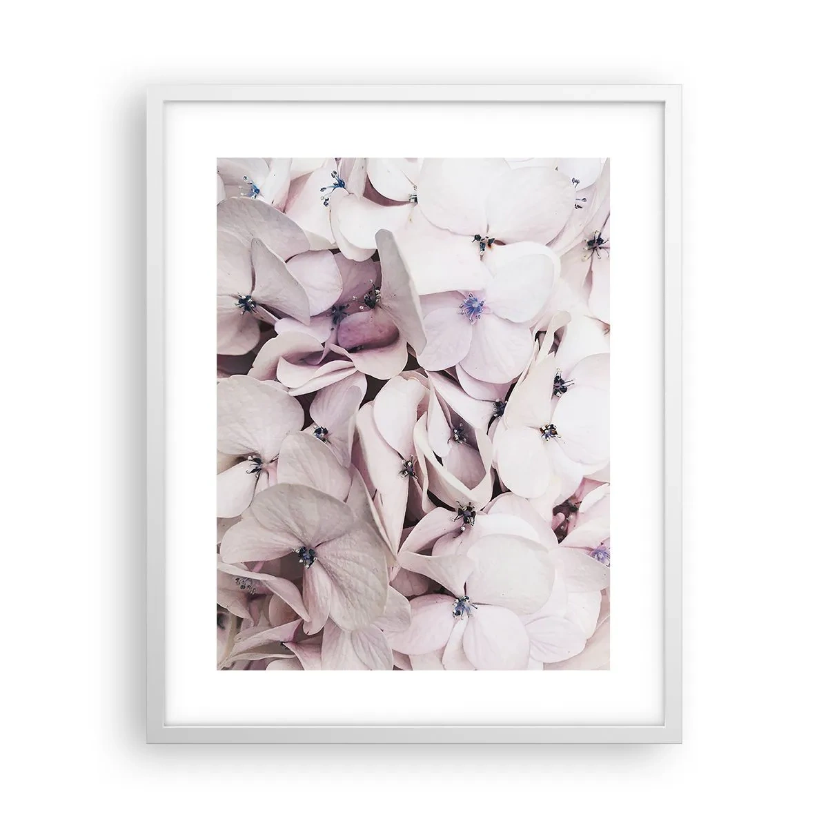 Plakat i hvid ramme - I en flod af blomster - 40x50 cm