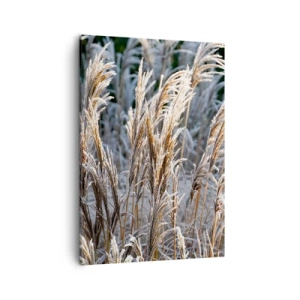 Lærredstryk - Billede på lærred - Pyntet med frost - 50x70 cm