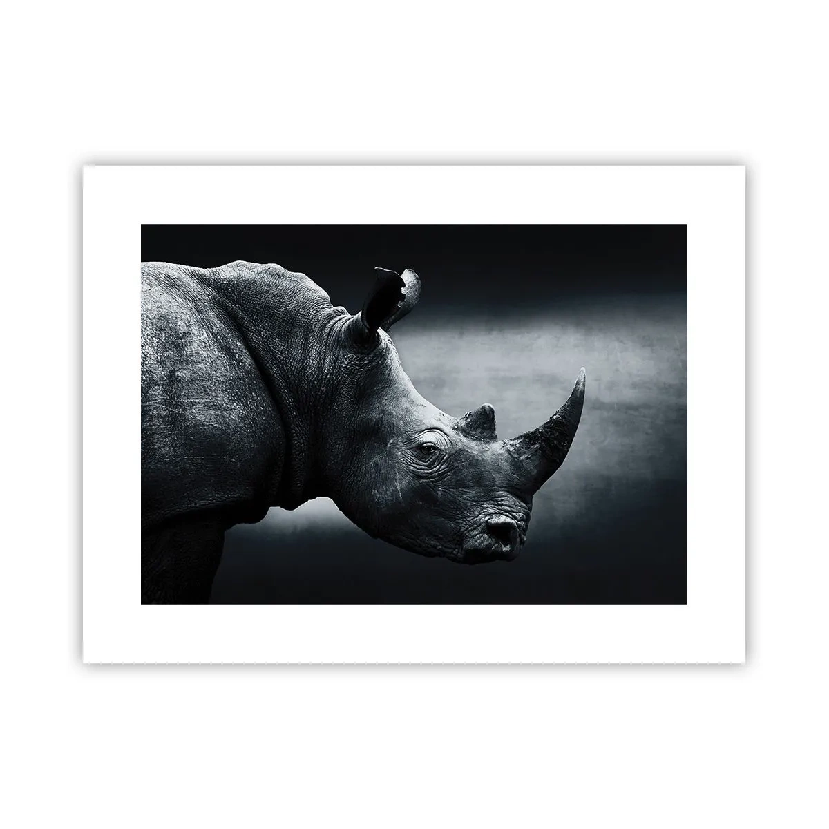 Plakat - Højre profil - 40x30 cm