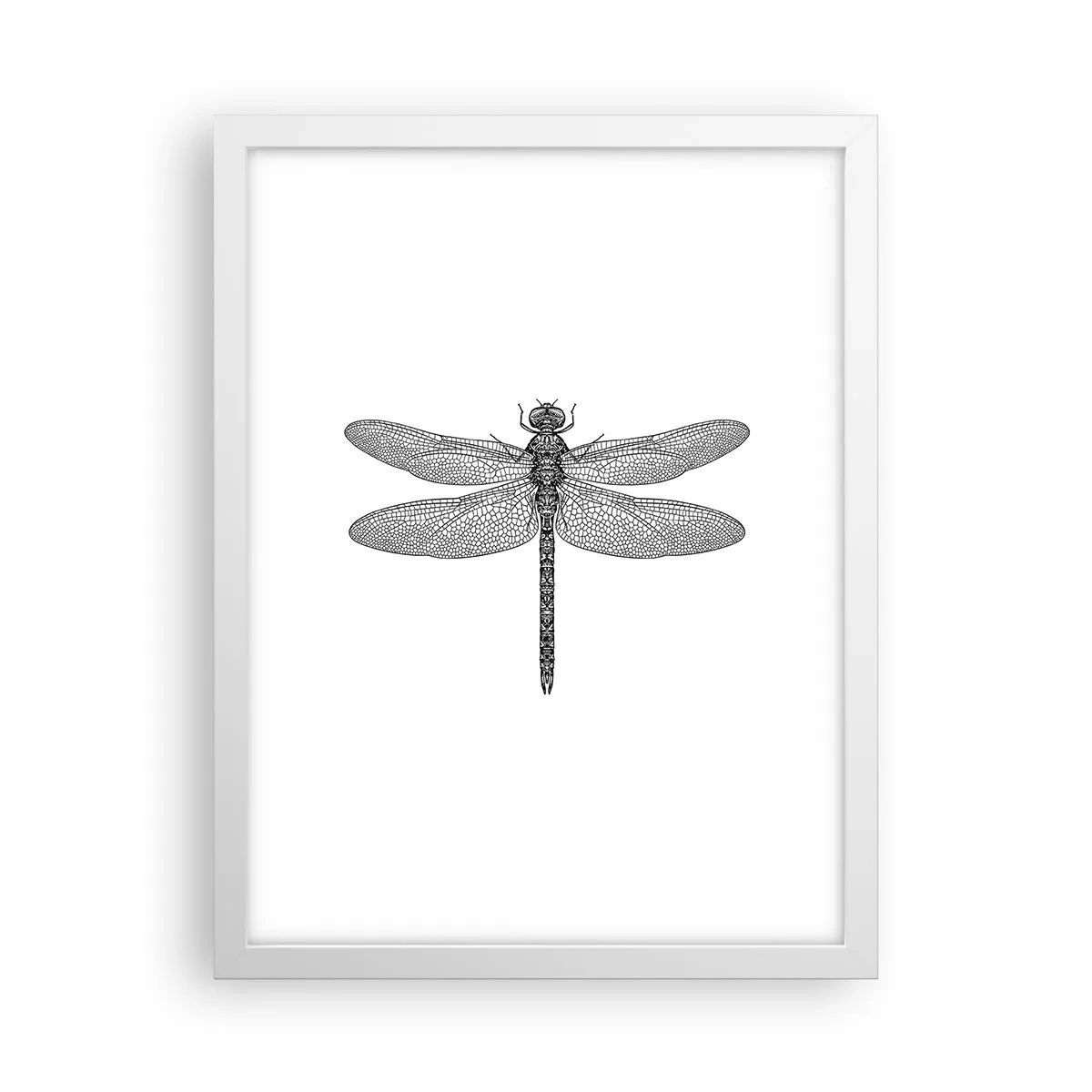 Plakat i hvid ramme - Præcision i naturen - 30x40 cm