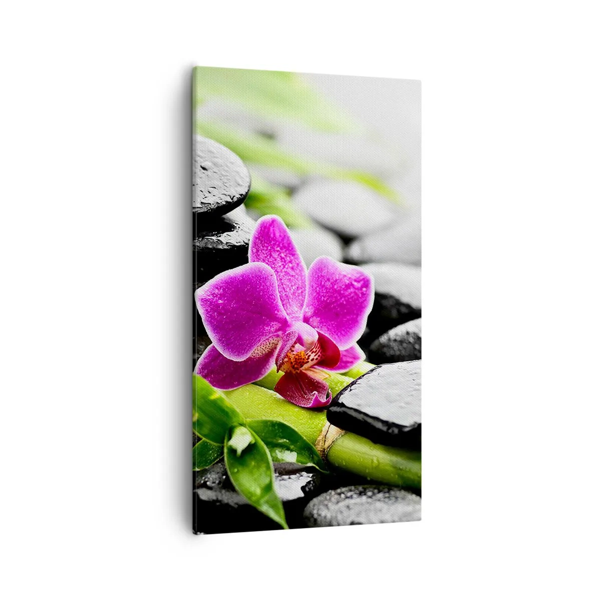 Lærredstryk - Billede på lærred - I en fredelig balance - 55x100 cm