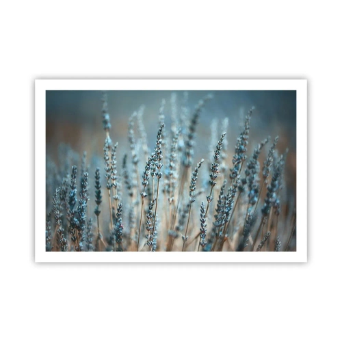 Plakat - Duftende plet - 91x61 cm