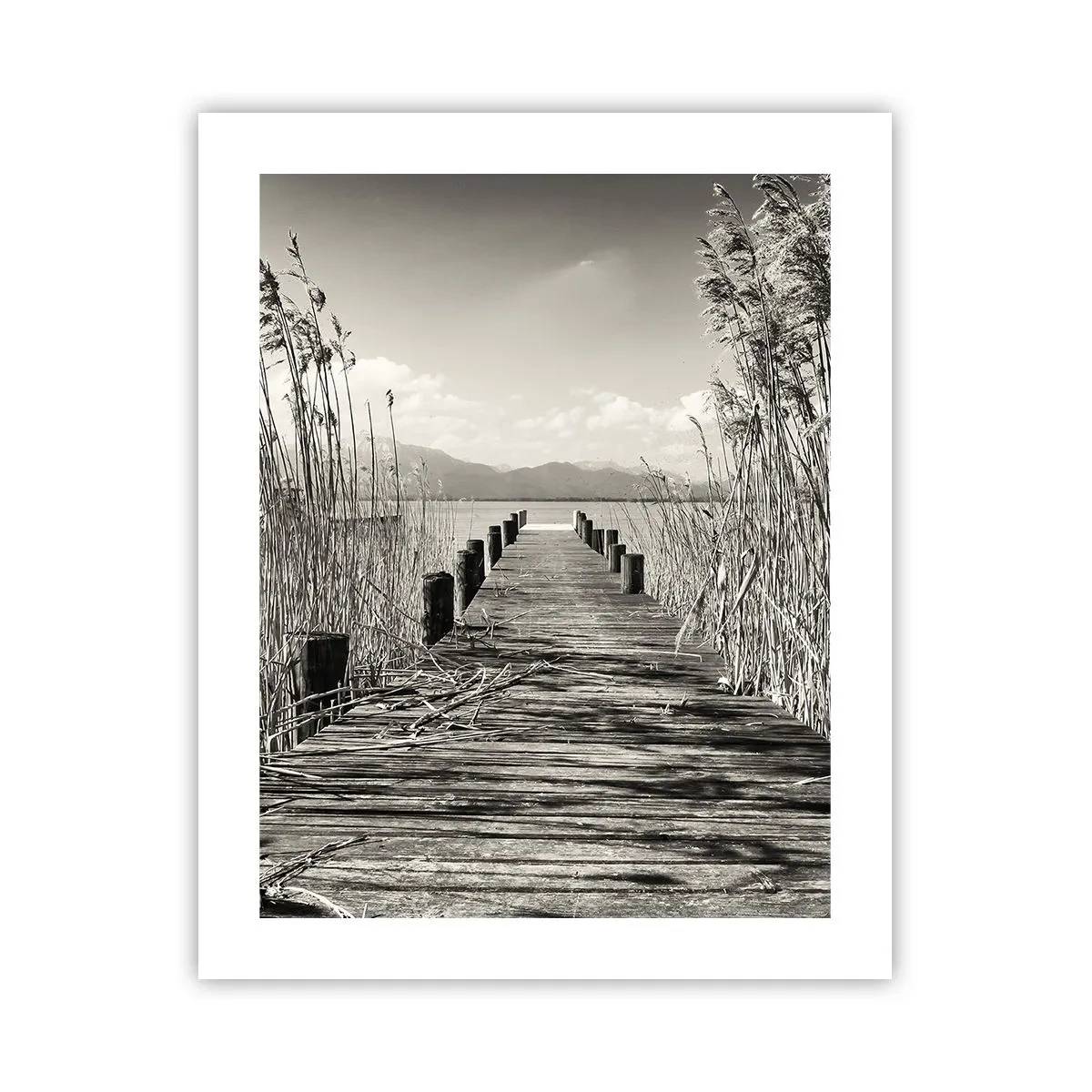 Plakat - I græssernes fred - 40x50 cm