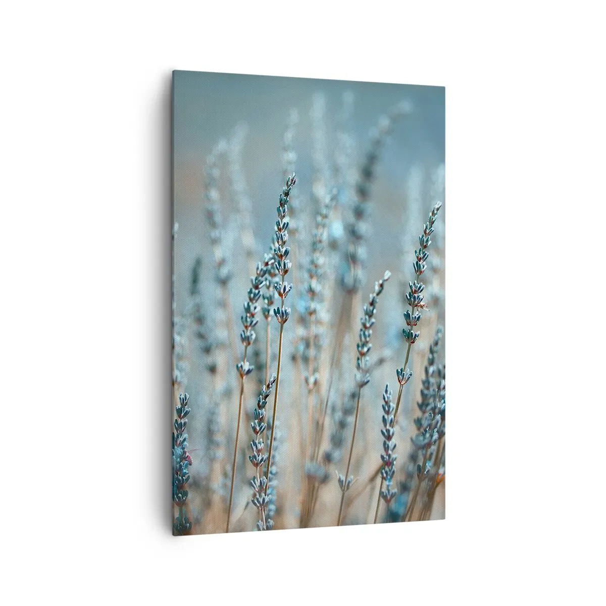 Lærredstryk - Billede på lærred - Duftende plet - 80x120 cm