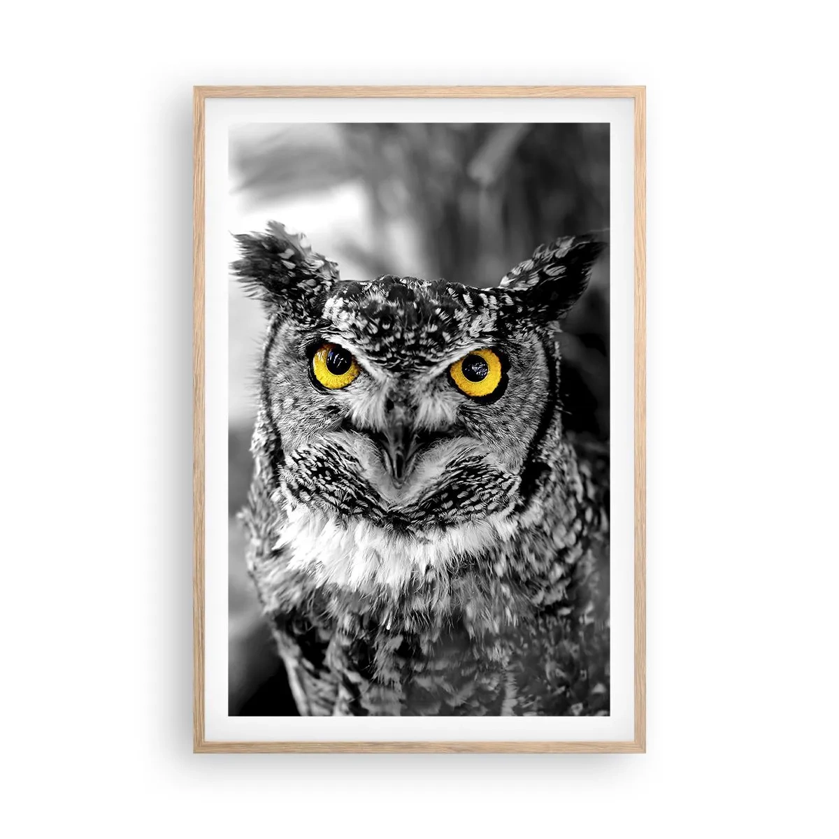 Plakat i ramme af lyst egetræ - Intet kan skjules - 61x91 cm