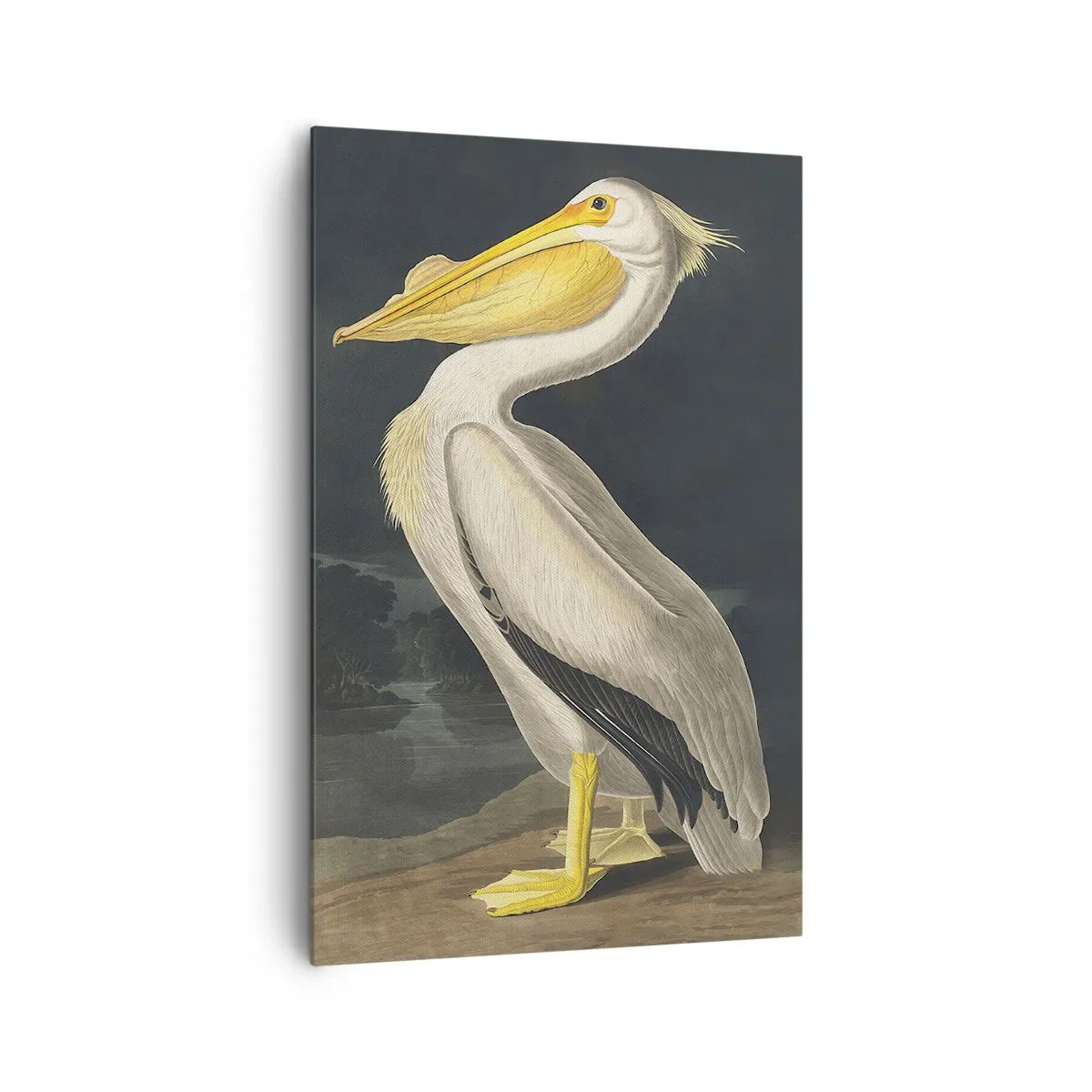 Lærredstryk - Billede på lærred - Fuld af stolthed - 80x120 cm