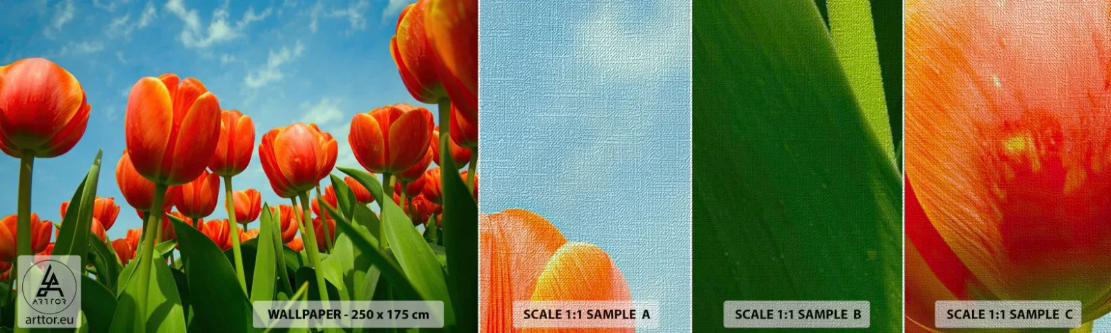 Prøve Fototapet Premium Canvas - Bortset fra den blå himmel behøver de intet i livet - Blomster, Tulipaner, Natur - 100x30 cm