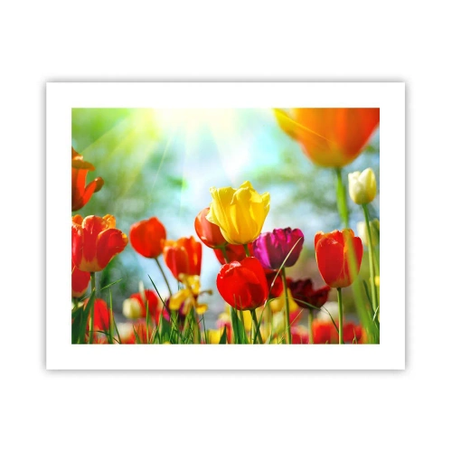 Plakat - Alle solens farver - 50x40 cm