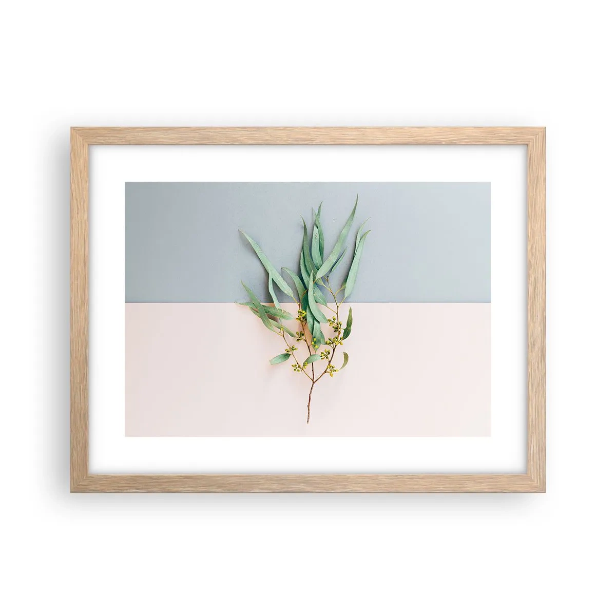 Plakat i ramme af lyst egetræ - Pastelfarvernes subtilitet - 40x30 cm