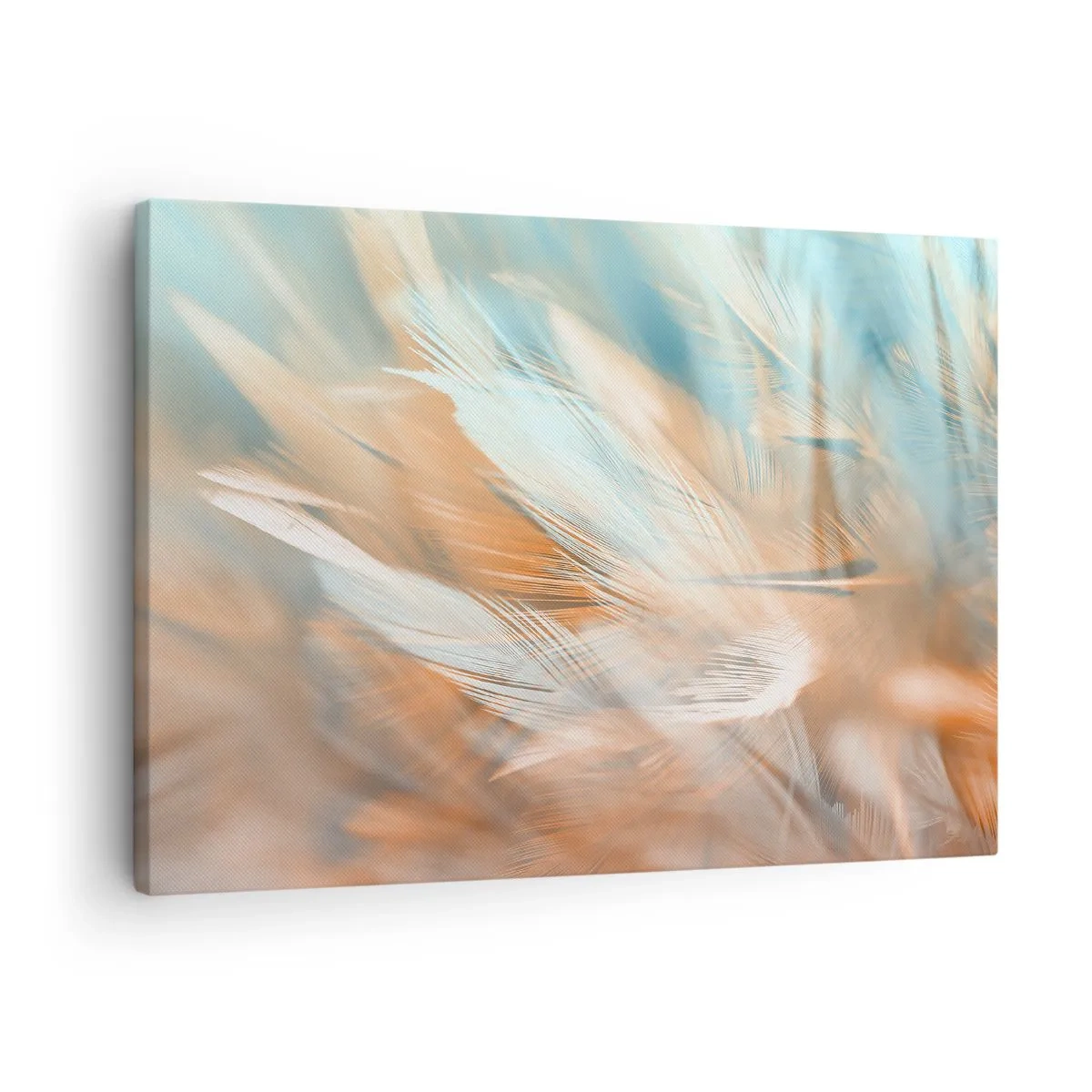 Lærredstryk - Billede på lærred - Fine fjer i pastelblå og orange nuancer - 70x50cm - I mildhedens land - Moderne vægdekoration til stue og soveværelse ARTTOR