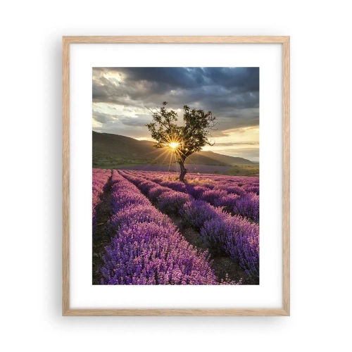 Plakat i ramme af lyst egetræ - Lilla aroma - 40x50 cm