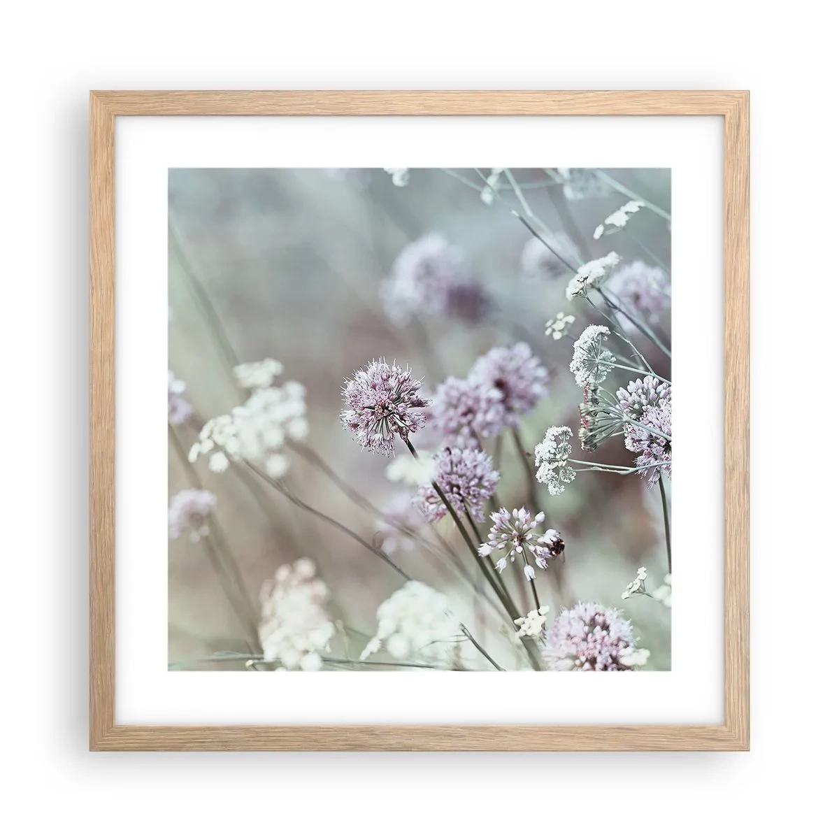 Plakat i ramme af lyst egetræ - Søde filigranurter - 40x40 cm