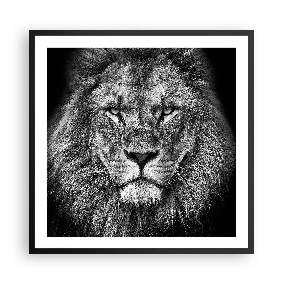 Plakat i sort ramme - I kroningsklædning - 60x60 cm