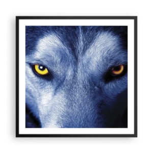 Plakat i sort ramme - Et hypnotiserende udseende - 60x60 cm