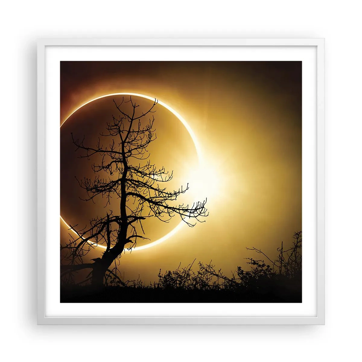 Plakat i hvid ramme - Total formørkelse - 60x60 cm
