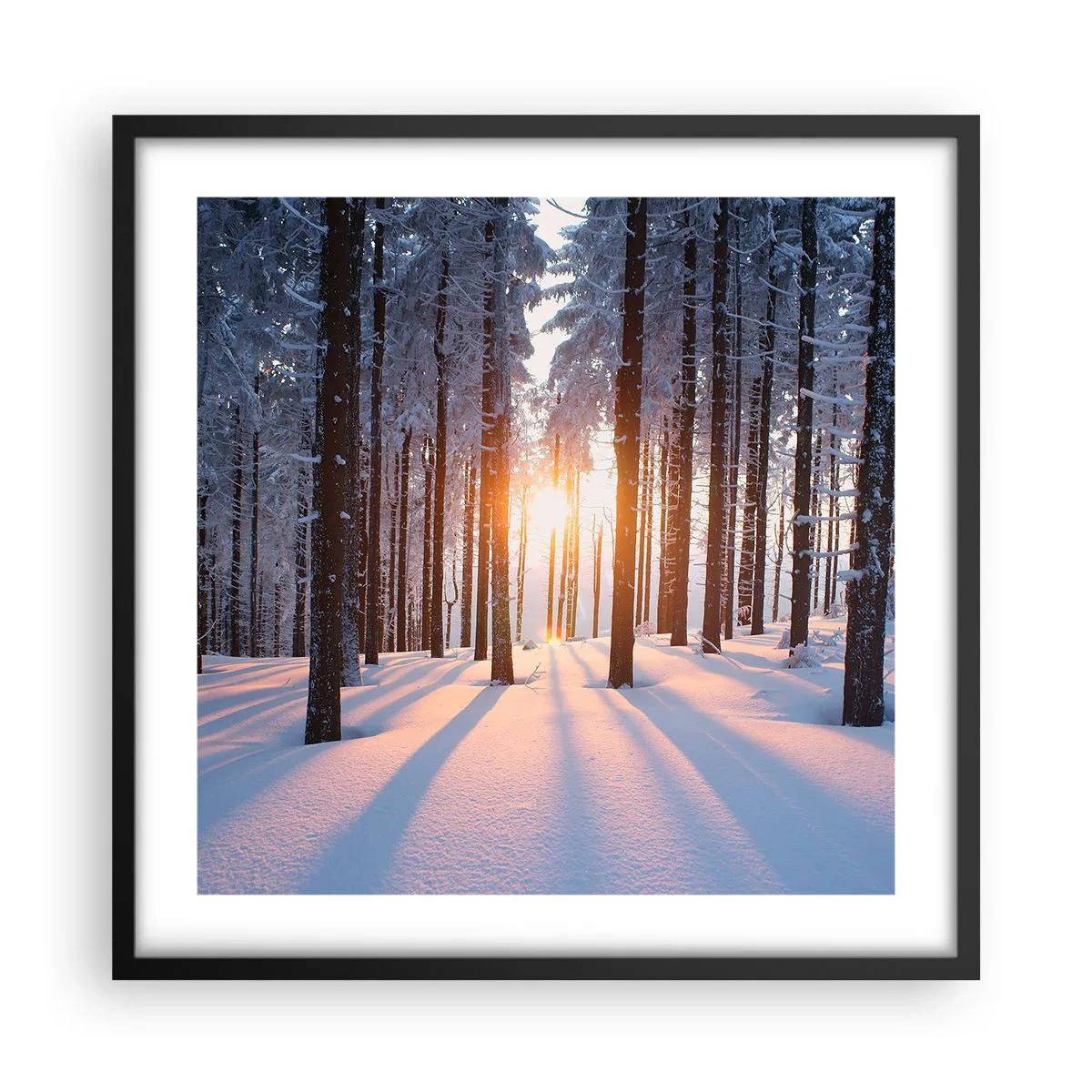 Plakat i sort ramme - Klart i sort og hvidt - 50x50 cm
