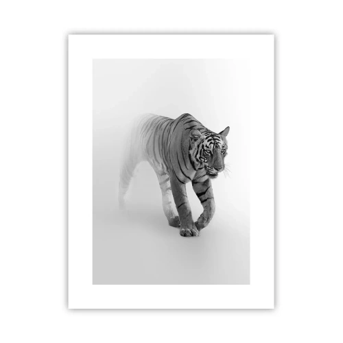 Plakat - Krybende i tågen - 30x40 cm