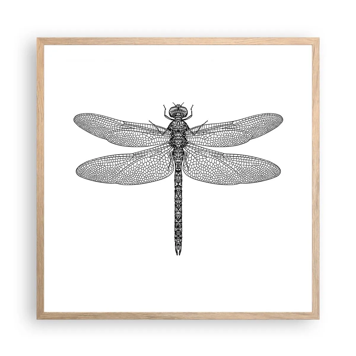 Plakat i ramme af lyst egetræ - Præcision i naturen - 60x60 cm