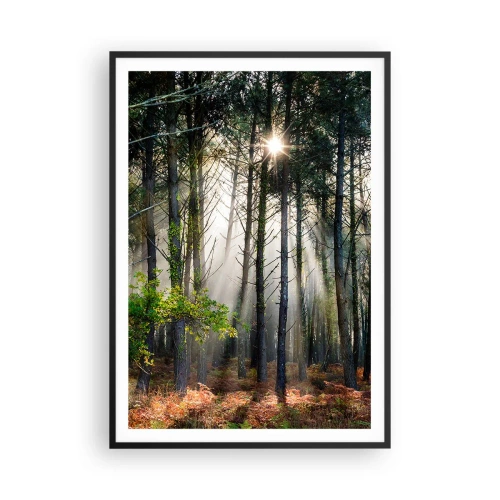 Plakat i sort ramme - Skovens vildnis - 70x100 cm