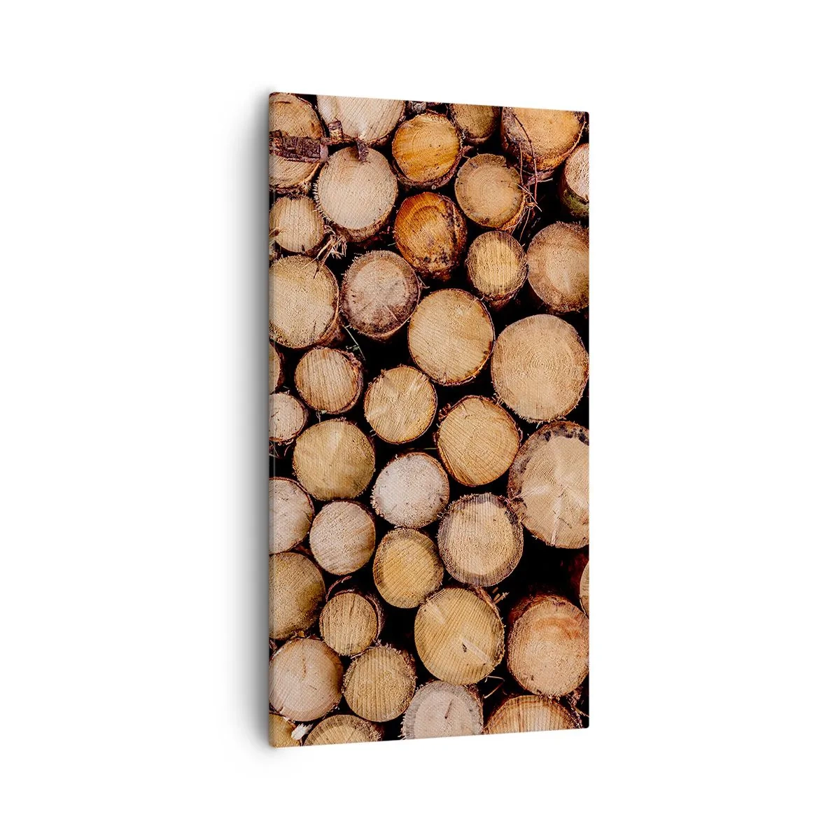 Lærredstryk - Billede på lærred - En ny begyndelse - 55x100 cm