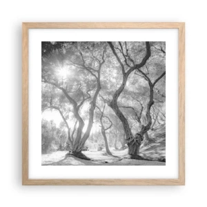 Plakat i ramme af lyst egetræ - I en olivenlund - 40x40 cm