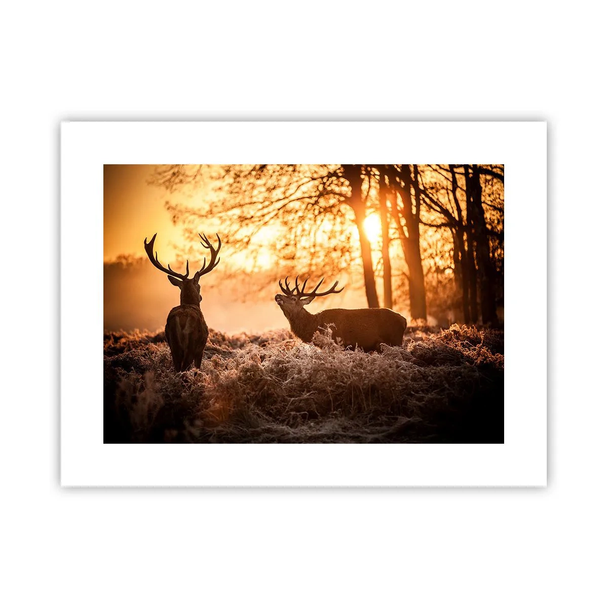 Plakat - En jægerdrøm - 40x30 cm