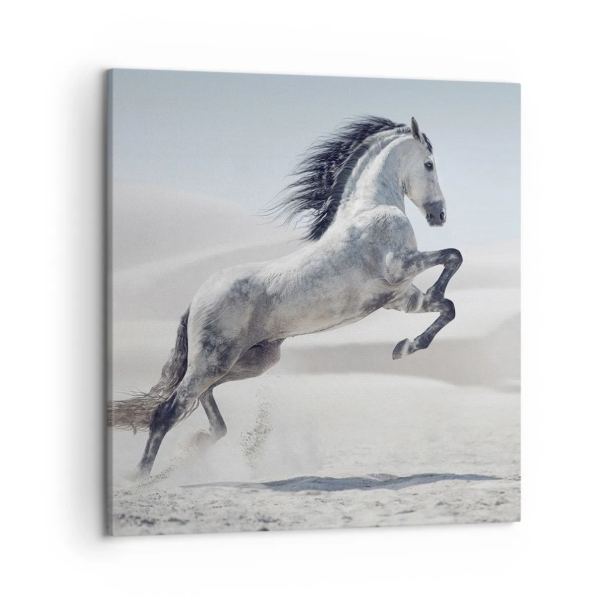 Lærredstryk - Billede på lærred - Arabisk prins - 50x50 cm