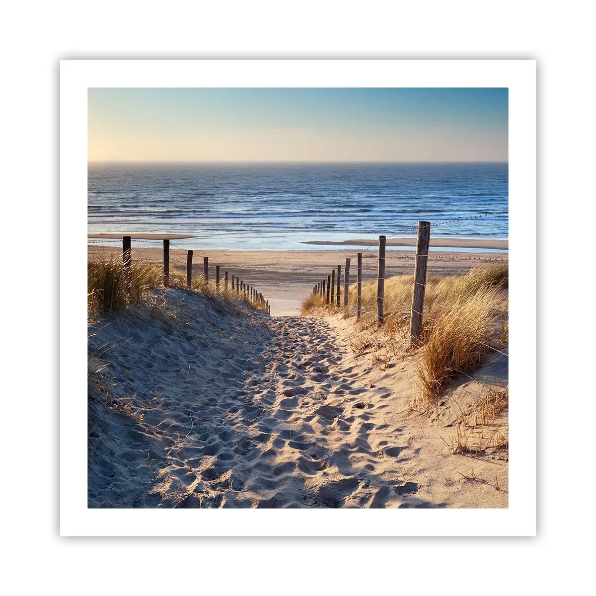 Plakat - Havet brummer, fuglene synger, en vild strand midt i græsset.... - 60x60 cm