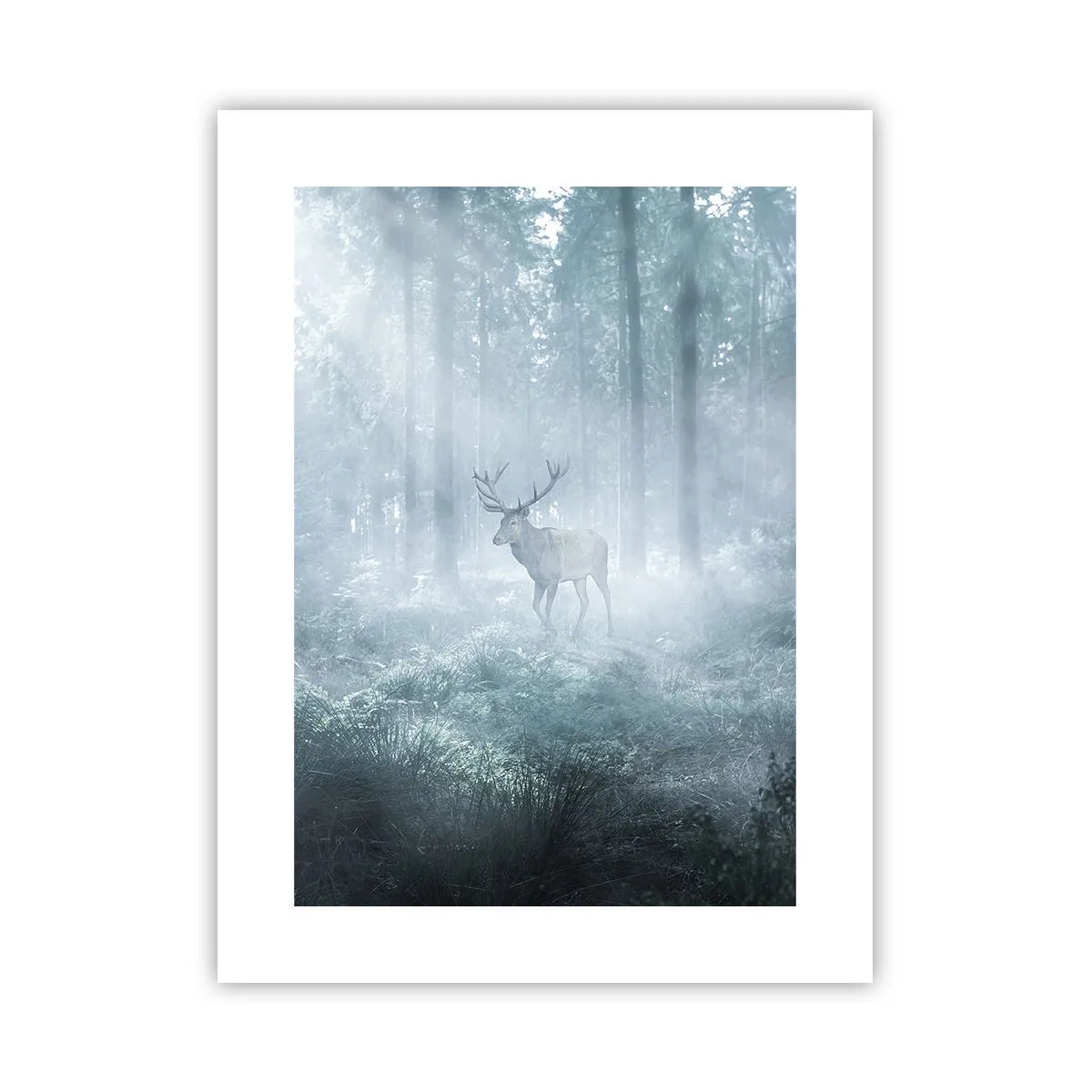 Plakat - Morgenvandring rundt på godset - 30x40 cm