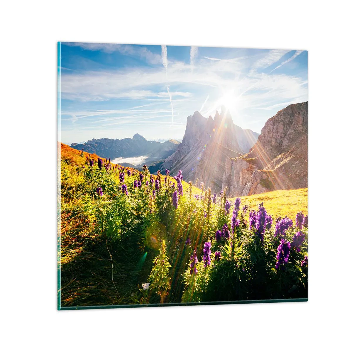 Billede på glas - Urternes hemmelige liv - 50x50 cm