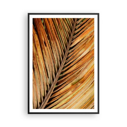 Plakat i sort ramme - Kokosnød guld - 70x100 cm