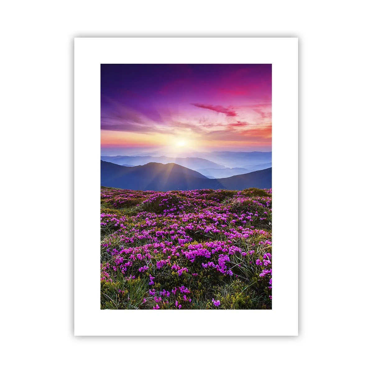 Plakat - Urter duftede friske bundter fra niw - 30x40 cm