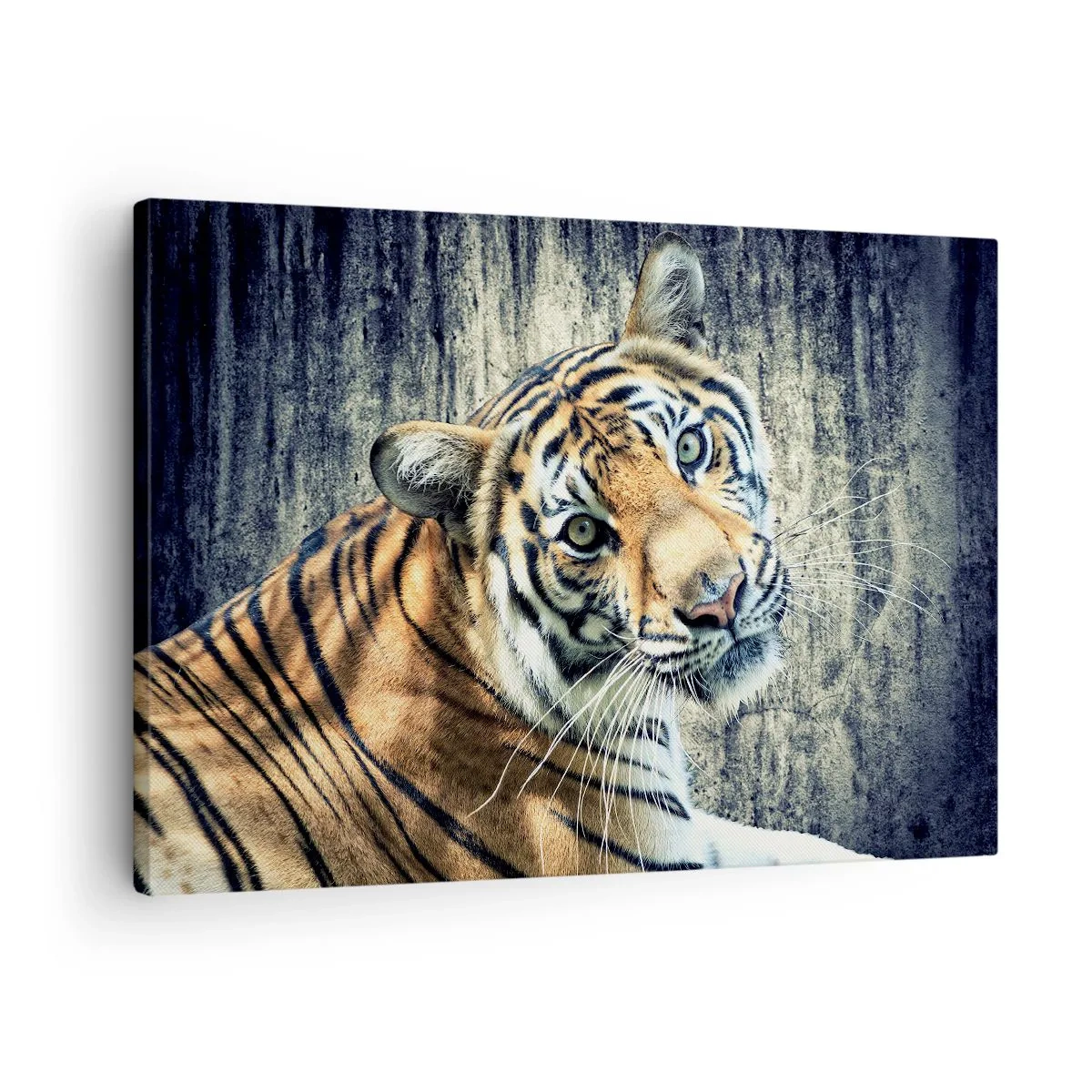 Lærredstryk - Billede på lærred - En tiger liggende mod en ru tekstureret væg - 70x50cm - Portræt i lysstrømme - Moderne vægdekoration til stue og soveværelse ARTTOR