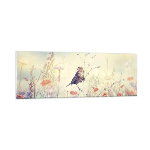 Billede på glas - Fugleportræt med en eng i baggrunden - 90x30 cm