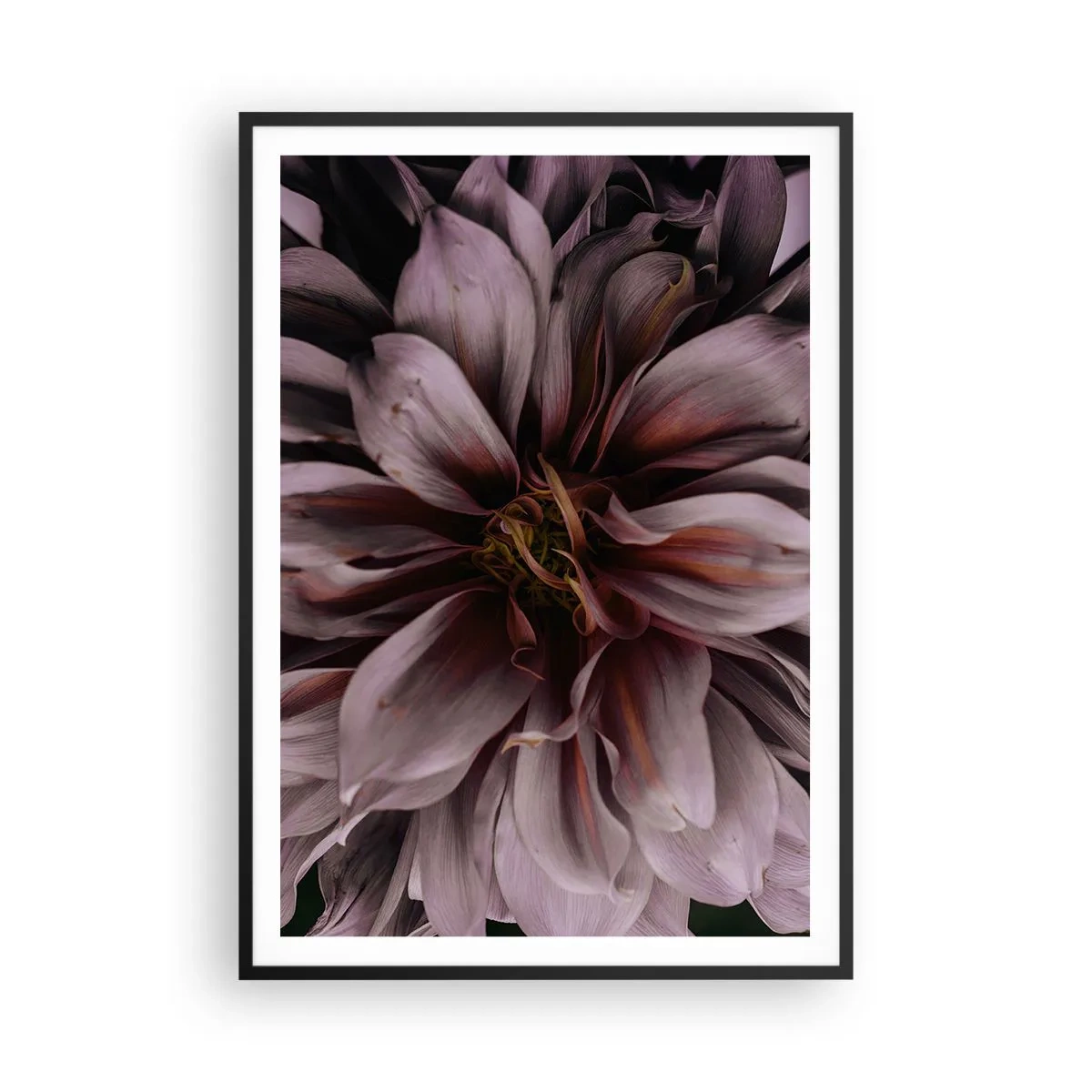 Plakat i sort ramme - Blomstret hjerte - 70x100 cm