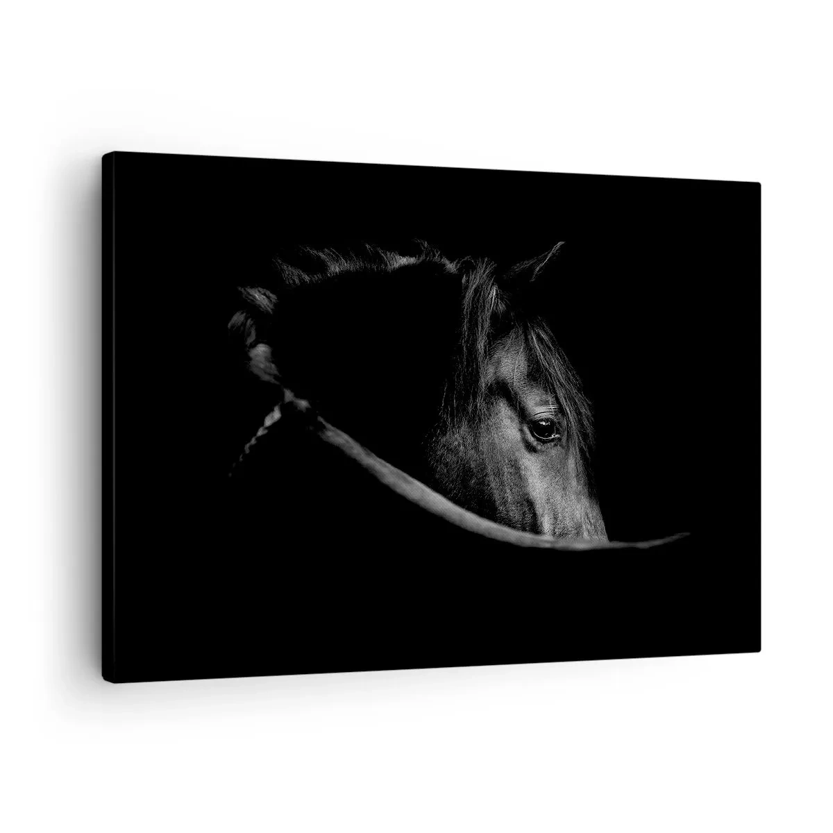Lærredstryk - Billede på lærred - Et sort-hvidt portræt af en hest med et diskret spil af lys og skygge mod en mørk baggrund. - 70x50cm - Sort prins - Moderne vægdekoration til stue og soveværelse ARTTOR