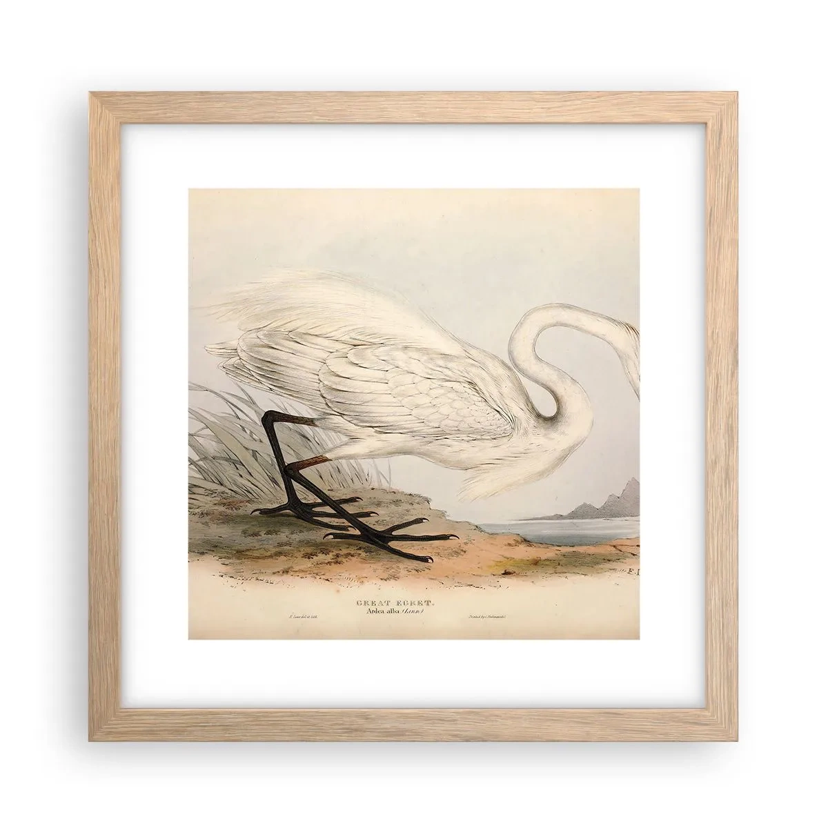 Plakat i ramme af lyst egetræ - Dame på sivene - 30x30 cm