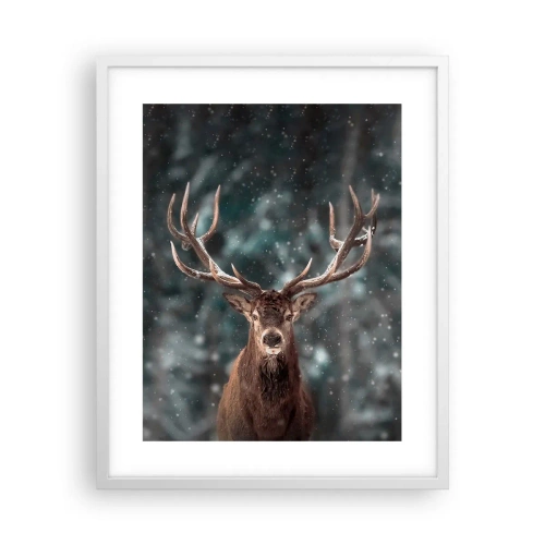 Plakat i hvid ramme - Skovens konge kronet - 40x50 cm
