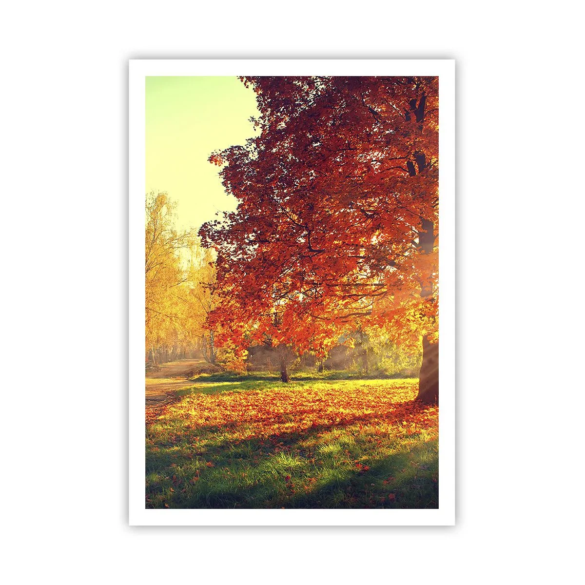 Plakat - Rød er smuk - 70x100 cm