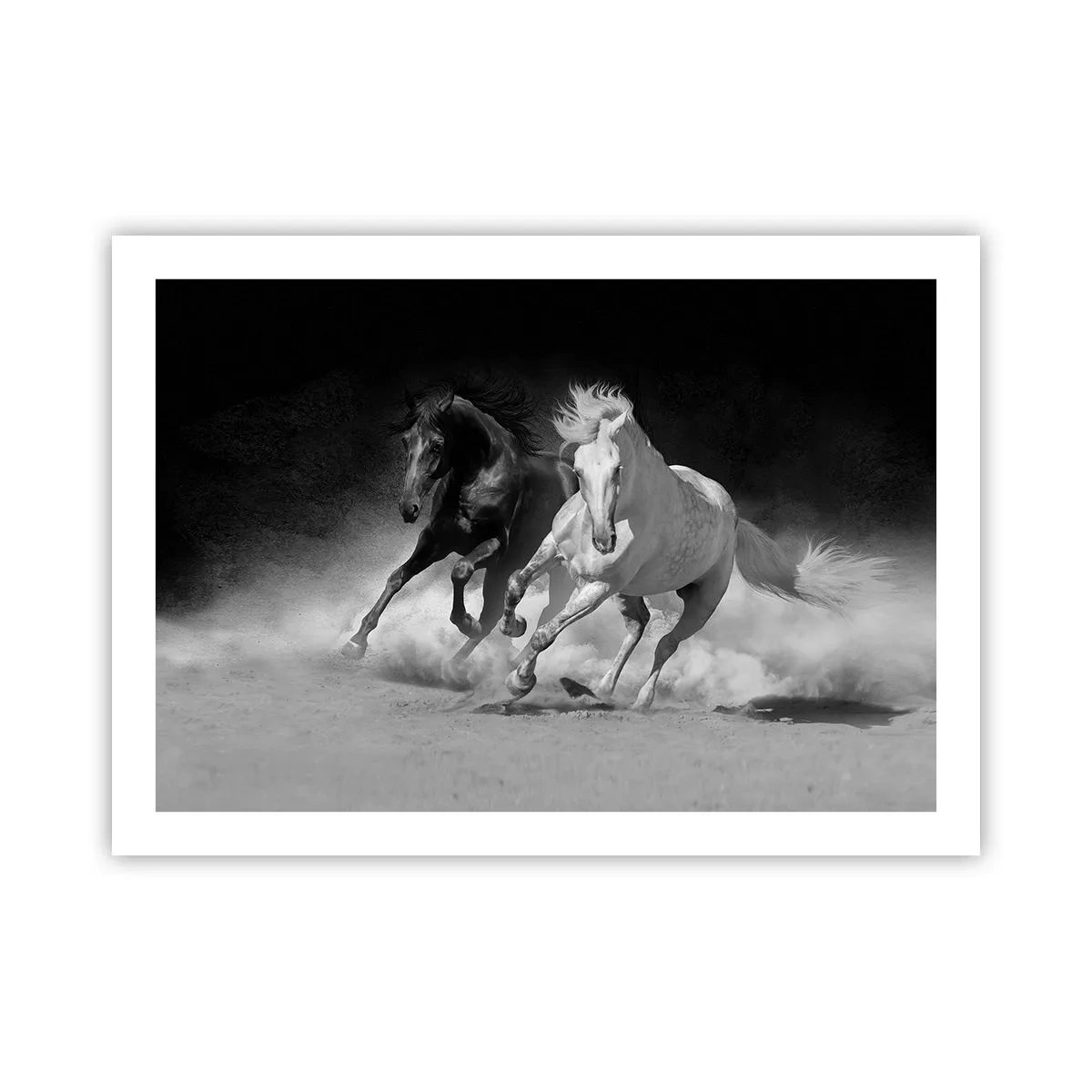 Plakat - Frihedens galop - 70x50 cm