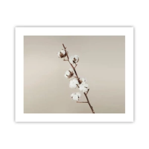 Plakat - Ved kilden til blødhed - 50x40 cm